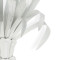 Palm Tree - White thumbnail 2