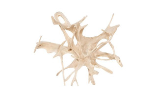 Wood Wall Decor, Bleached