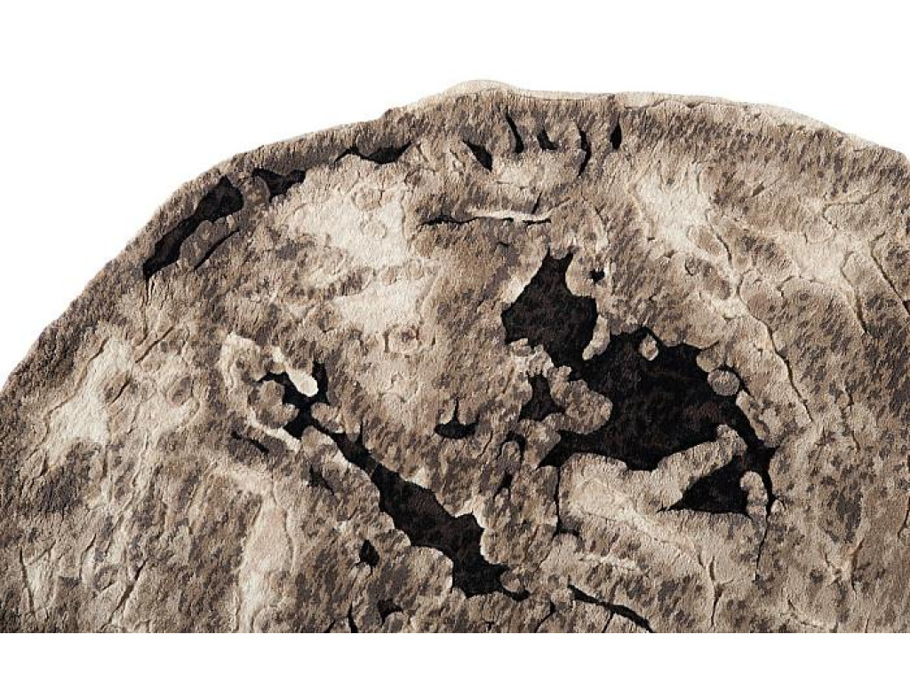 Slice Area Rug, 12x12