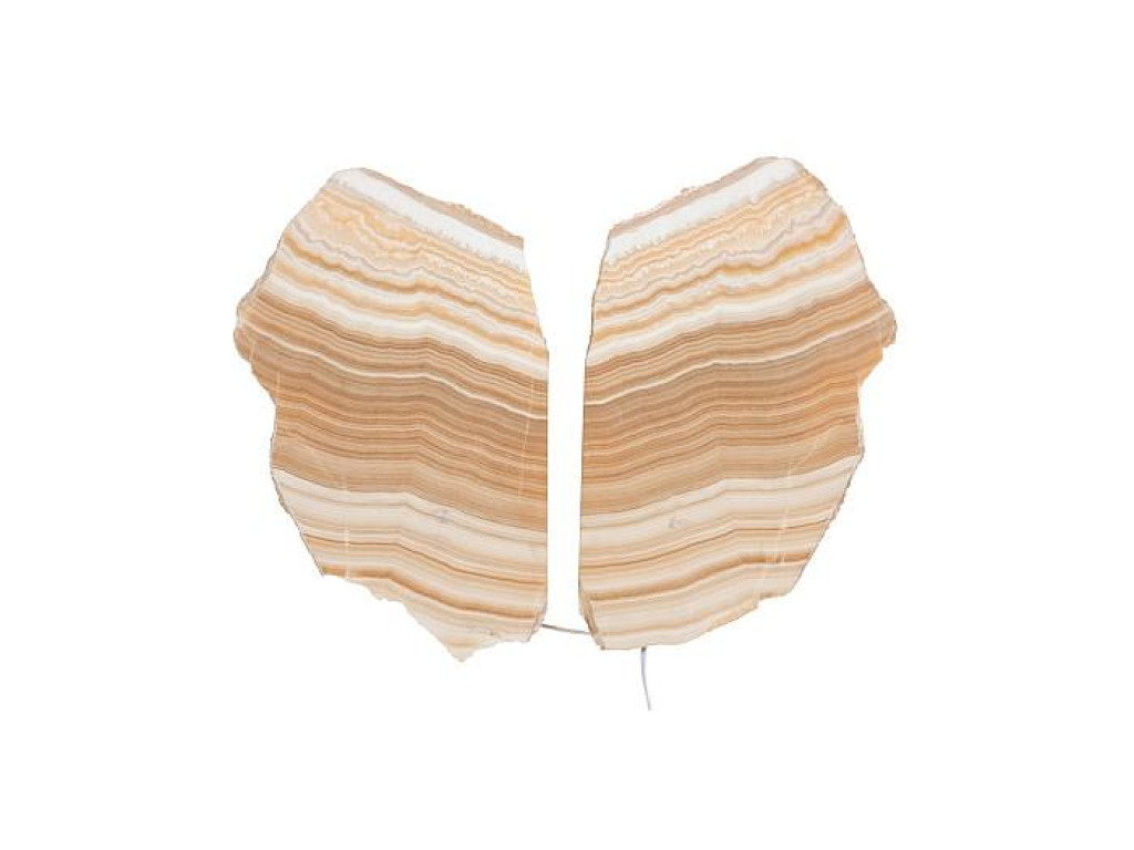 Onyx Butterfly Sconce