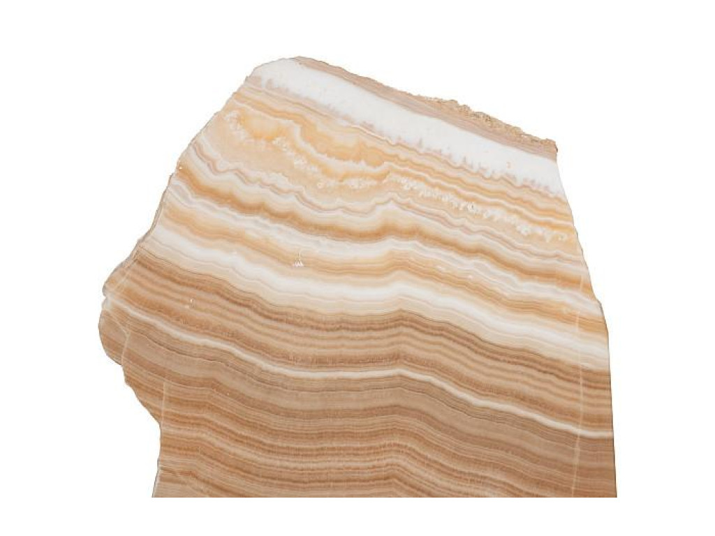 Onyx Butterfly Sconce