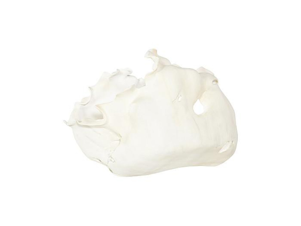 Cast Root Bowl, Open, Faux Bleached