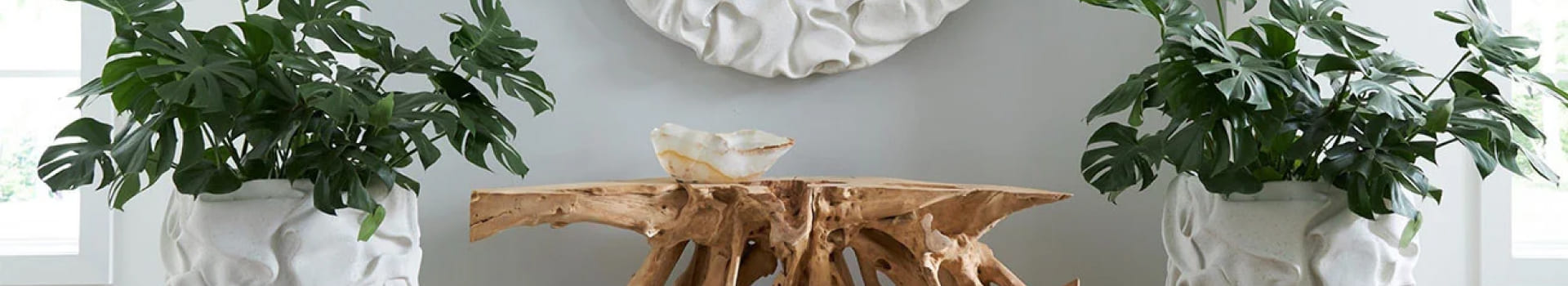 Phillips Collection banner