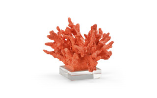 Coral